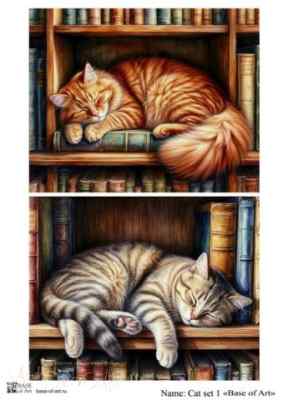 Карта для декупажа А4 Cat set 1