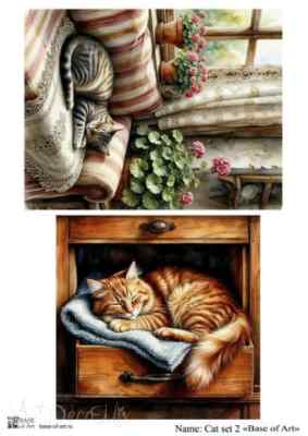Карта для декупажа А4 Cat set 2
