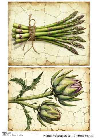 Карта для декупажа А4 Vegetables set 19