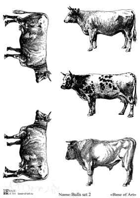 Карта для декупажа А4 BULLS SET 2