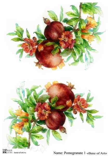 Карта для декупажа А4, Pomegranate 1