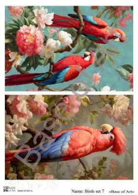Карта для декупажа А4 BIRDS SET 7