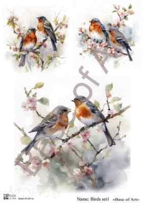 Карта для декупажа А4 BIRDS SET 1