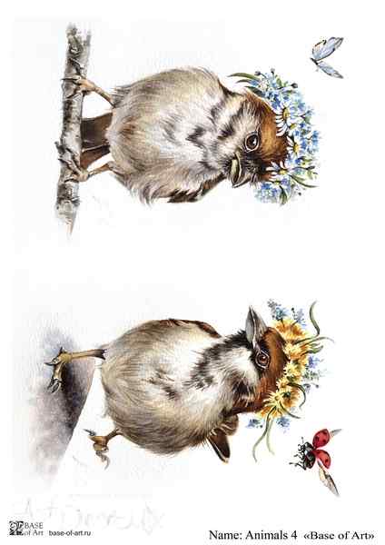 Карта для декупажа А4 ANIMALS 4