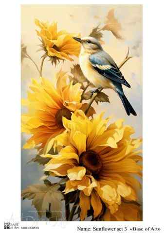 Карта для декупажа А4 SUNFLOWER SET 3