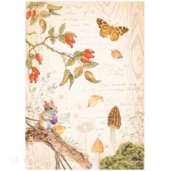 БУМАГА РИСОВАЯ STAMPERIA "WOODLAND" А4      