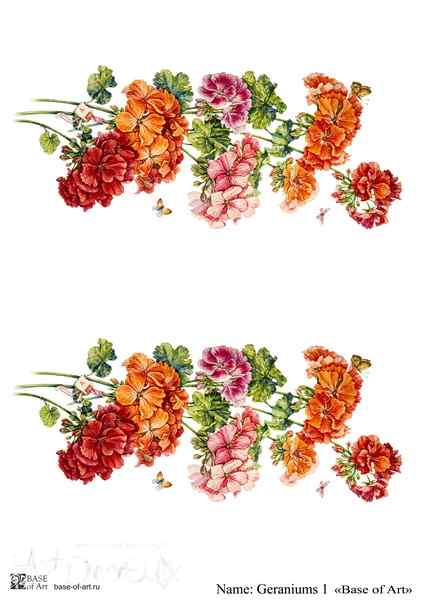 Карта для декупажа А3 Geraniums 1