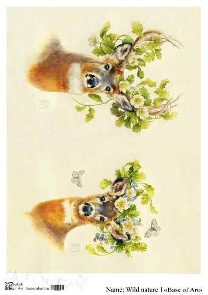 Карта для декупажа А3 WILD NATURE 1