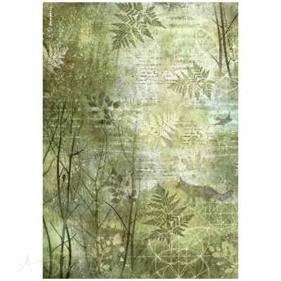 БУМАГА РИСОВАЯ "FOREST" А4      