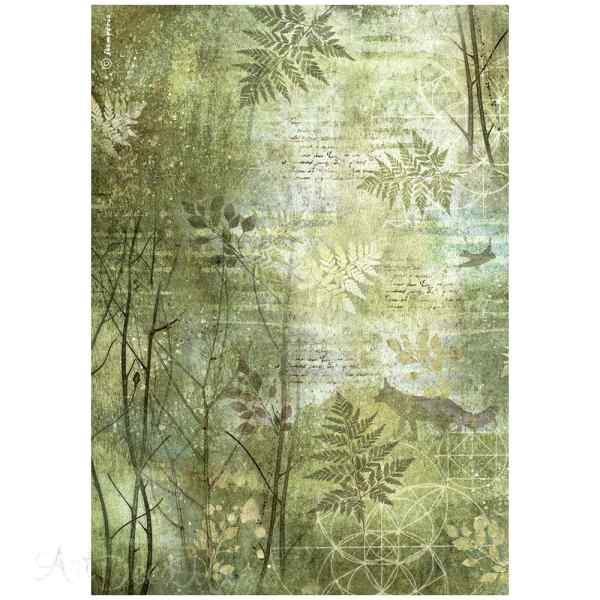 БУМАГА РИСОВАЯ "FOREST" А4      