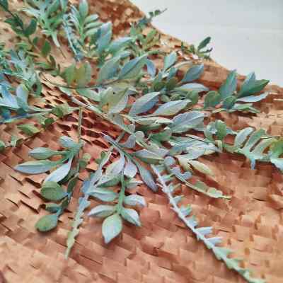 Набор цветов № 38