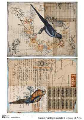 Карта для декупажа А4 VINTAGE INSECTS 9