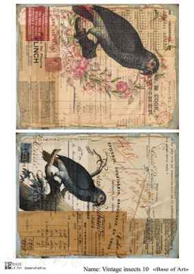 Карта для декупажа А4 VINTAGE INSECTS 10
