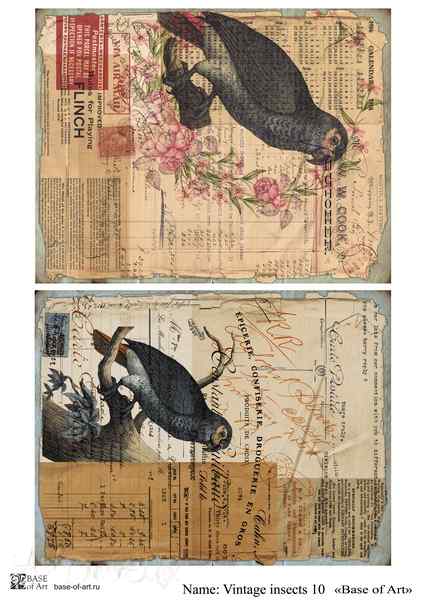 Карта для декупажа А4 VINTAGE INSECTS 10