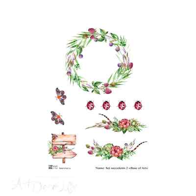 Карта для декупажа А4 Set succulent 2