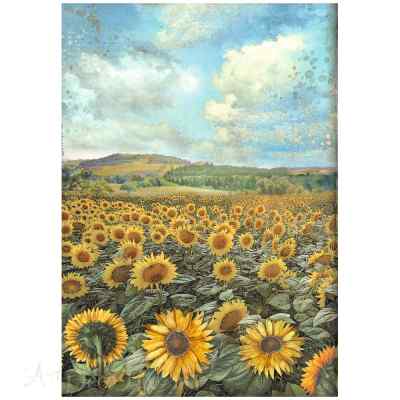 БУМАГА РИСОВАЯ STAMPERIA "SUNFLOWER ART" А4  