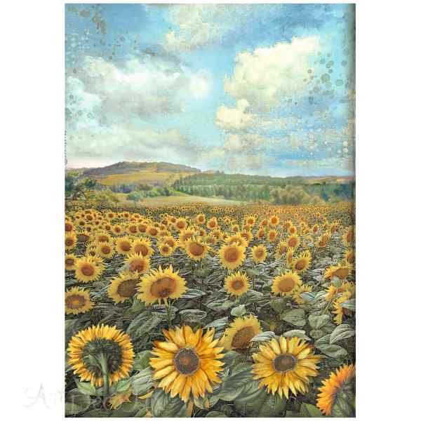 БУМАГА РИСОВАЯ STAMPERIA "SUNFLOWER ART" А4  