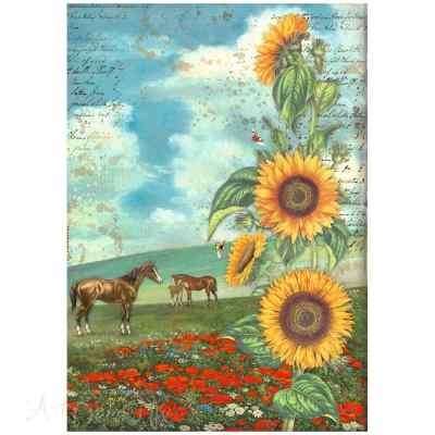 БУМАГА РИСОВАЯ STAMPERIA "SUNFLOWER ART" А4 