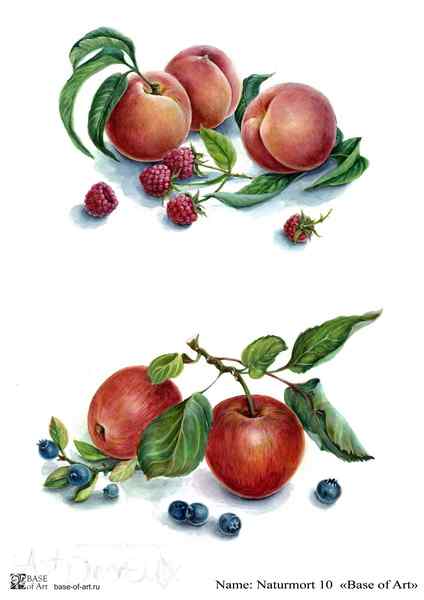 Карта для декупажа А4, NATURMORT 10