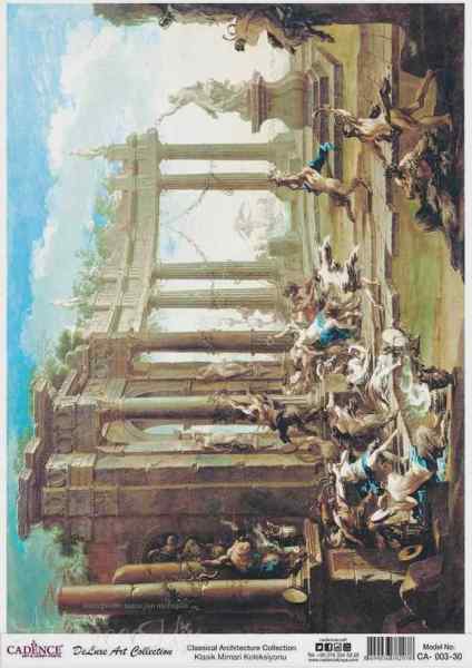 Рисовая карта СА003