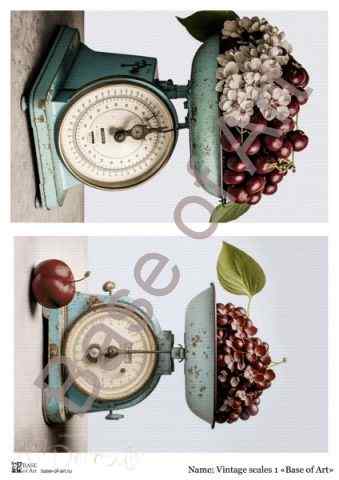 Карта для декупажа А4 VINTAGE SCALES 1