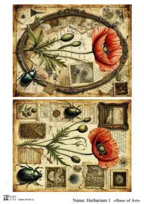 Карта для декупажа А4 Herbarium 1