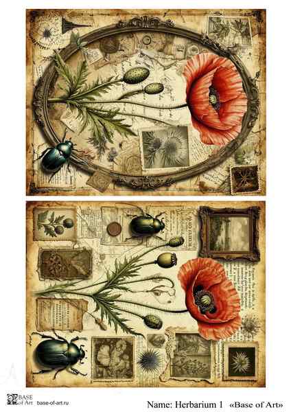 Карта для декупажа А4 Herbarium 1