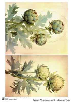 Карта для декупажа А4 VEGETABLES SET 6