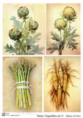 Карта для декупажа А4 VEGETABLES SET 11